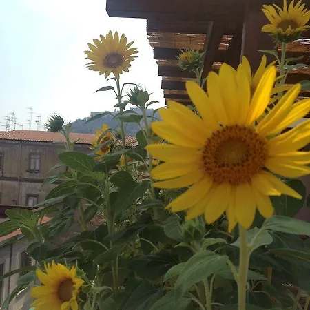 Le Terrazze Di Neapolis 3*